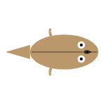 Appendage Length: Front Long