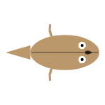 Appendage Length: Rear Long