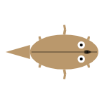 Appendage Surface: All Legs